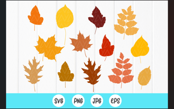 Autumn Leaves Embroidery: A Designer's Practical Review